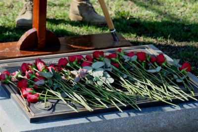 Plaque___Roses_7_Mar.jpg